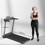 TRAX Walker S2 Treadmill + DKN Exercise Bike M460